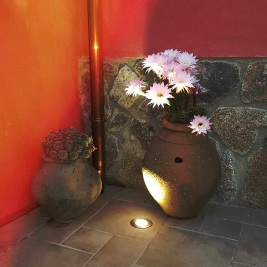 Casa Rural Rojo Del Tietar La Iglesuela エクステリア 写真